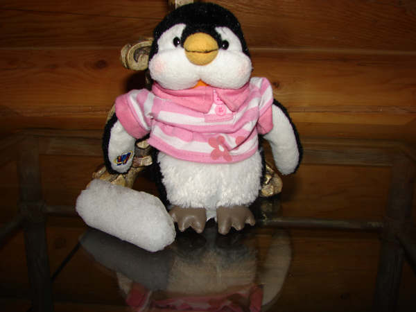 lil kinz penguin