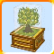 Charm Tree Box