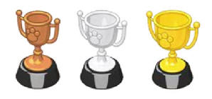 styling trophies