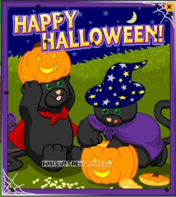 Halloween Black Cat Webkinz