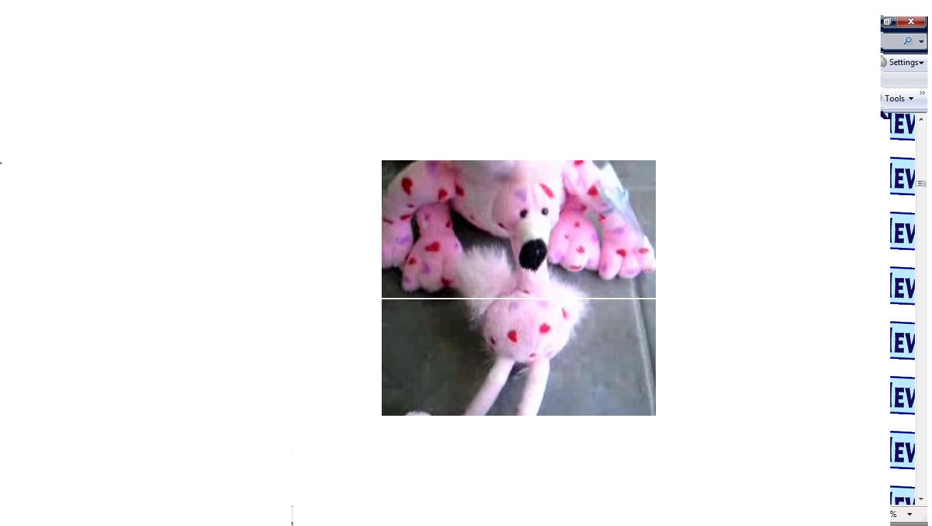 webkinz flamingo