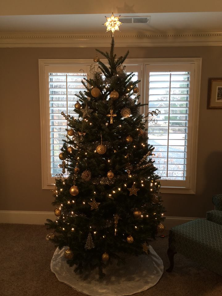 122014MasterBedroomSittingRoomTree