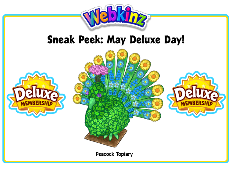 peacock webkinz