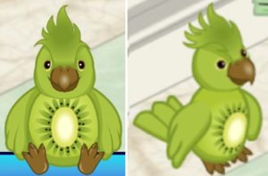 webkinz parrot